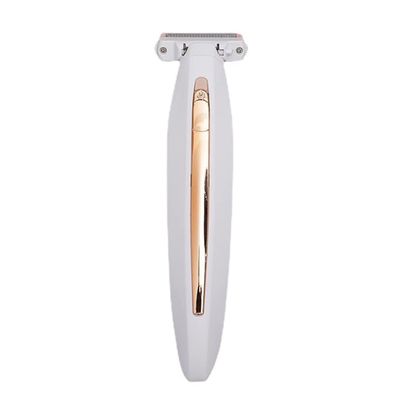 Lady Shaver: Electric Hair Removal for Women Body, Painless Portable Hair Remover with LED Light for Face Leg Hand Bikini Armpit