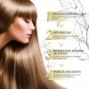 Rosemary Hair Growth Oil for Thin Hair, Scalp & Hair Nourishing Treatment view 3