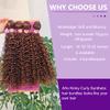 ZHENLISI Afro Kinky Curly Bundles Synthetic Hair Bundle Honey Blonde Ombre Brown Quick Weave High Temperature Fiber Curly Synthetic Hair Extensions for Women 18 Inches 4Pieces (Color P4/30) view 4