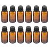Beavorty 12Pcs Coffee Glass Essential Oil Empty Bottles with Lid for Travel view 1
