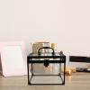 SOPOTUTU Lockable Makeup Storage Box with Large Capacity, Multifunctional Travel Cosmetic Organizer Case Made of Aluminum and Plastic, Stylish Design with Padlock and Keys for Bathroom view 4