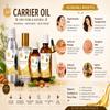 LEVENMOOI Cucumber Seed (Cucumis sativus) Carrier Oil 100ml for Premium Quality Multipurpose use Carrier Oil Glass Bottle with Dropper view 3
