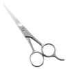 Lurrose Mustache Scissors Straight for Men women: Stainless Steel Beard Scissors, Rounded Tip, Easy to Use, 12.5 Cm for Men's Mustache & Beard Grooming view 1