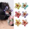 YPBEW Hair Clip for Princess Plumeria Large Catch Hair Barrettes Unique Adornment Hairpin Fashion Unique Ornamentation Flower Clip view 2