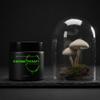 Mystic Hollow Cosmetics Shroom Therapy Detox Face Mask 25Mushroom Complex + Purifying Clays for Deep Pore Detox, Calming, Brightening, Weekly Skin Reset Dry Organic Mask view 2