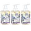 Michel Design Works Foaming Hand Soap, 17.8-Fluid Ounce, Lavender Rosemary - 3-PACK view 1