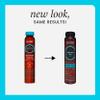 Hask Argan Oil Repairing Shine Hair Oil 5/8 oz view 3