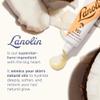 Lanolips 101 Ointment - Lanolin Lip Balm for Smooth, Hydrated & Healthy Lips - Multipurpose Lip Ointment with Lanolin Oil for Dry Lips, Cuticles & More - Coconutter (0.35 oz) view 4