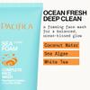 Pacifica Beauty Sea Foam Face Cleanser, Daily Gentle Foaming Face Wash, With Coconut Water + Sea Algae Complex, Removes Makeup, For Combination and Oily Skin, Vegan and Cruelty Free, Clean Skin Care view 3