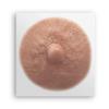 TataTattoos Temporary Realistic Nipple/Areola Tattoos  Non-Surgical for Mastectomy Recovery  for Post Breast Cancer Surgery (Cream, Medium (Pack of 10)) view 1