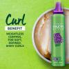 Garnier Fructis Style Curl Construct Creation Mousse Extra Strong Hold, 6.80 Ounces view 3