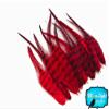 Hair Feathers ; 1 Dozen - SHORT RED Grizzly Rooster Whiting Hair Extension Feathers view 2