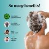 Rosemary Tea Tree Mint Shampoo - Clarifying Shampoo for Build Up and Flakes with Deep Cleansing Peppermint Oil and Tea Tree Essential Oil for Dry Scalp Treatment - Paraben & Sulfate Free (8oz) view 3