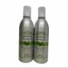 Back to Basics Green Tea Volume Infusing Spray Foam 9oz (Pack of 2) view 1