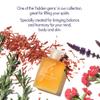 Aromatherapy Associates Inner Strength Bath and Shower Oil, Natural Body Oil to Uplift Mind, Body and Spirit, Made with 3 Essential Oils (1.86 oz) view 2