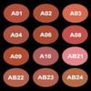 Amitice Blusher view 2