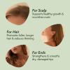 Nature Spell Rosemary Oil For Hair Growth, Pre-Diluted Hair & Scalp Oil Nourishes Dry, Damaged Hair, For Women & Men, 5.07 Fl Oz view 3