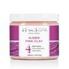 IBD Spa Pro Pedi Aussie Pink Clay Detox Creme 14.2 fl oz view 1