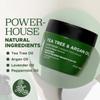 Luseta Tea Tree Oil Hair Mask 16.9 oz Hydrating & Moisturizing Treatment Soothing for Itchy Scalps and Dandruff view 3