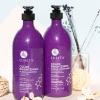 L LUSETA Color Brightening Purple Shampoo and Conditioner Set for Blonde and Gray Hair, Infused with Cocos Nucifera Oil to Help Nourish, Moisturize and Condition Hair, 2x33.8oz view 4