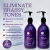 Luseta Purple Shampoo and Conditioner Set for Blonde, Gray - Color Treated Hair - Sulfate Free Paraben Free - Infused with Cocos Nucifera Oil for Curly and Damaged Hair - 2x16.9oz view 2