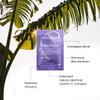 Malibu C Blondes Wellness Remedy - Removes Discoloration from Bleached, Highlighted or Natural Blonde Hair + Restores Vibrance and Shine with Vitamin C Complex (12 Packets) view 3