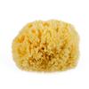 Natural Yellow Sea Wool Sponge 6 Inches. Perfect for Bath, Shower & Body Care. Super Soft & Not Skin Irritating. Baby Approved. Luxury Sponge in a Bag & Craft Box view 2