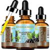 Botanical Beauty BLACKBERRY SEED OIL 100% Pure Natural Virgin Unrefined. Cold Pressed Undiluted Carrier Oil for Face, Skin, Body, Hair, Anti-Aging Face Oil (0.5 Fl Oz) view 1