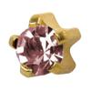 Studex June/Alexandrite Regular 4mm Gold Plated Claw Setting Ear Piercing Stud Earrings Birthstone view 1