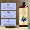 Handcraft Blends Grapeseed Oil - Cold-Pressed 16 Fl Oz - 100% Pure and Natural - Premium Grade Carrier Oil for Skin and Hair - Hair and Body - Massage - Hexane-Free view 4