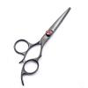 5.5 inches Professional Barber Razor Edge Hair Cutting Scissors/Shears - Adjustment Tension Screw - Mustache/Beard Trimming Hairdressing Cutting Scissors view 1