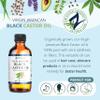 Zatural Black Castor Oil_100% Pure Tropic Jamaican Black Castor Oil (8 Ounce) view 4