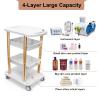 Beauty Salon Trolley Spa Styling Pedestal Rolling Cart Two Shelf ABS Aluminum Elitzia ETTROLLEY5 (Gold cart) view 4