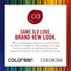 Colorbar First Impressions Powder Brush view 2