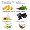 ALOA Skincare Detoxifying Activated Charcoal Face Wash with Vitamin C & Green Tea, Acne Fighting Facial Cleanser view 4