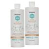 DHS Zinc Shampoo, 16 Oz (Pack of 2) view 1