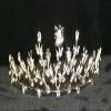 #10949 - Filigree Crystal Tiara view 1