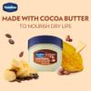 Vaseline Lip Therapy Cocoa Butter.25 oz (Pack of 8) view 4