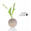 100% PURE Bamboo Blur Powder Tinted Setting Mattifying Face Makeup, Oil Absorbing Pore Minimizing Light Finish - Long Lasting, Vegan, Fruit Pigmented Tan Color (Tan Shade w/Warm Undertones) - 0.2 Oz view 4