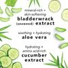 Mario Badescu Facial Spray 2 Piece Set, Includes Aloe, Chamomile & Lavender Face Mist PLUS Aloe, Cucumber, Green Tea Face Mist for All Skin Types, Dewy Finish, 4 Fl Oz, 2 Count (Pack of 1) view 4