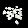 400 Pieces Microdermabrasion Filters 10mm Microdermabrasion Pads Microderm Filters Replacement Dermabrasion Filters for Microdermabrasion Machine (400 Pieces) view 4