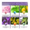 100% Organic Handmade Large BATH BOMB FIZZY GIFT SET LOT 6 (4.1oz) by 24/7 store view 2