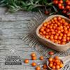 Active Organic Sea Buckthorn Foot Cream 75 Ml (Natura Siberica) view 3