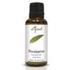 Difeel Essential Oils 100% Pure Eucalyptus Oil 1 ounce (2-Pack) view 1
