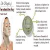 Bentonite Indian Healing Clay | Powder | PURE Natural Cosmetic Grade | 12 oz | 340 g view 3
