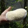 2 PCS Natural Loofah Luffa Sponge Face Body Bath Shower Spa Exfoliator Scrubber Pad view 3