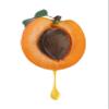 Dr Joe Lab Apricot Kernel Seed Oil 32 oz Pure Natural Cold Pressed Unrefined Extra Virgin - Unrefined with distinct, sharp smell - for Hair Skin Body Nail and Beard Moisturizes & Nourishes view 4