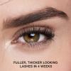 Maybelline Lash Sensational Boosting Eyelash Serum, Conditioning Lash Serum Infused with Arginine and Pro-Vitamin B5 to Fortify Lashes, 1 Count view 4