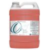 Rosehip Oil for Face Cold Pressed Unrefined cocojojo Pure Natural Rosehip Seed Oil in Bulk 1 GALLON - Moisturizing, Soothing, Hydrating, & Nourishing view 1