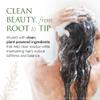 Christina Moss Naturals Shampoo Natural and Organic Ingredients, Sulfate-Free, Paraben-Free, Cruelty-Free, Vegan, Unscented, Responsible Beauty view 4